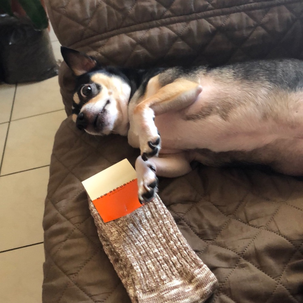 Socks